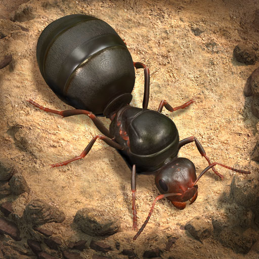 Пополнить The Ants: Underground Kingdom из России