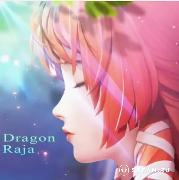 Пополнить Dragon Raja из России