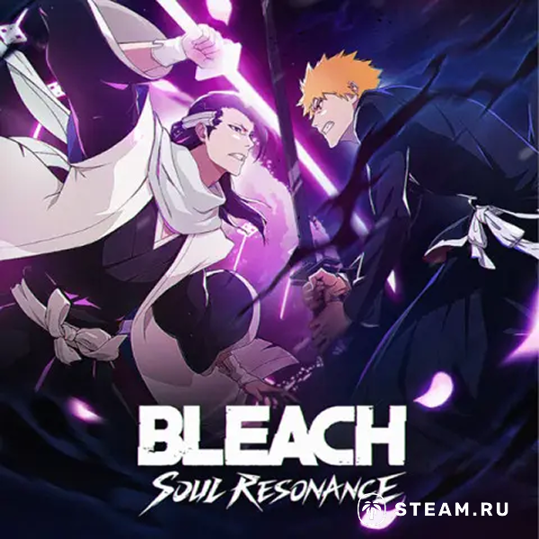 Пополнить Bleach: Soul Resonance из России